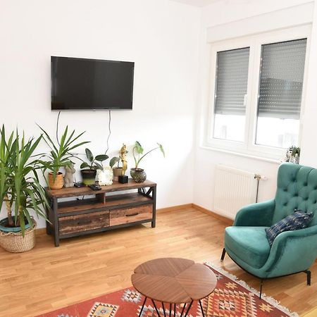 Appartement Avenija Oaza à Novi Sad Extérieur photo