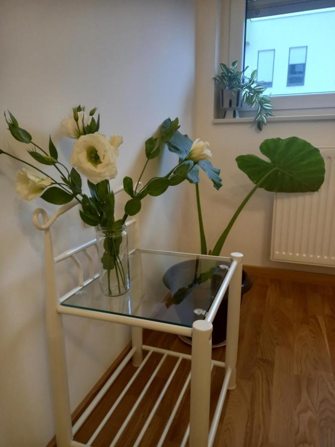 Appartement Avenija Oaza à Novi Sad Extérieur photo