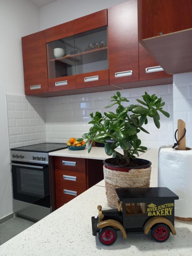 Appartement Avenija Oaza à Novi Sad Extérieur photo