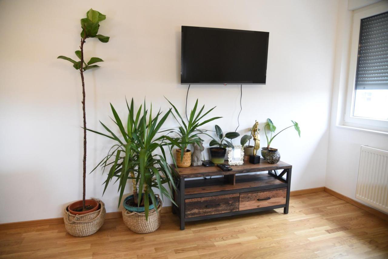 Appartement Avenija Oaza à Novi Sad Extérieur photo